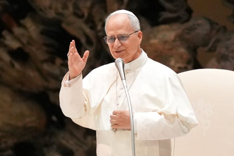 Pope Leo XIV Warns Clergy Against Using AI to Generate Homilies ...